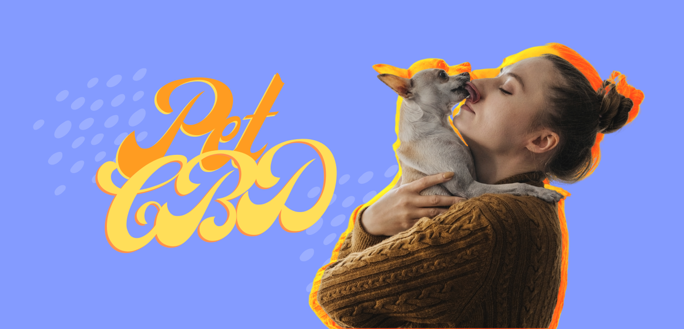 (alt="person holding a dog wondering if CBD is pet friendly"